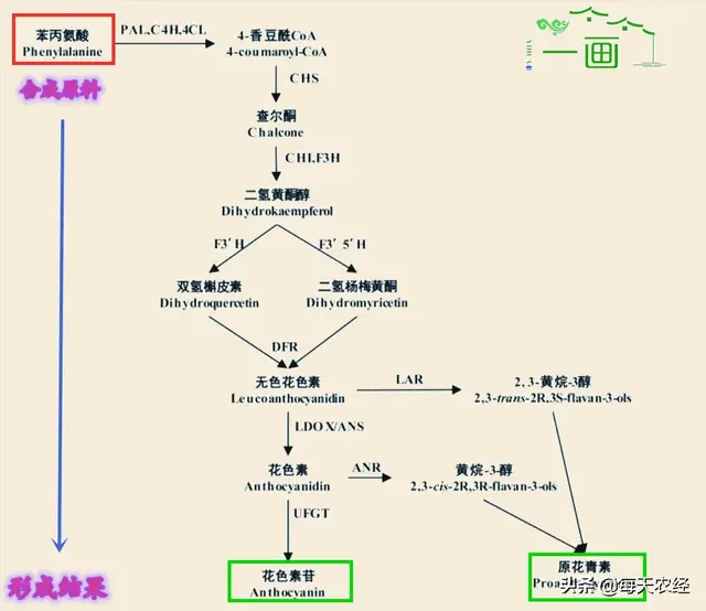 一画7色，独家配方，营养着色，农资经销商热卖的又一爆款产品