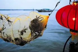 京东阳澄湖蟹战以退为进：大闸蟹有了身份证，只赔不退真壕横图片