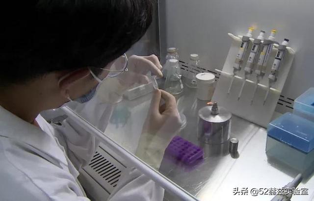 农科院一氧化碳合成蛋白质是怎么做到的？对中国有多大的意义？