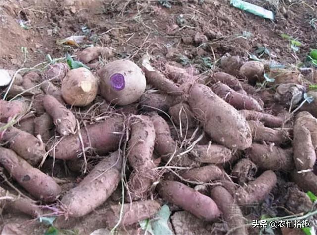 鍥犲瘜鍚姳闈掔礌锛?骞村墠涓€鏂?鍏冧笉鎰佸崠锛屽浠婂嵈楗卞彈鍚愭Ы锛屾拨涓鸿壊绱? onerror=