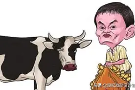 马云：我不用MBA，管理企业就靠这10大“基本法”！图片