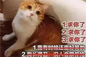 “为什么爱情这么痛苦？”“你爱错了人”图片