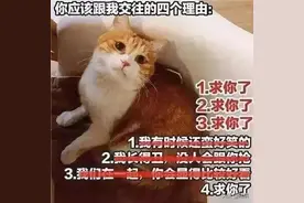 “为什么爱情这么痛苦？”“你爱错了人”图片