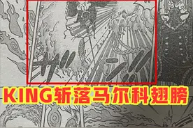 海贼王1006话：小马哥被烬斩落翅膀，豹五郎释放“生命归还”图片
