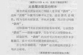 铁桦木真的比钢铁还硬吗？图片