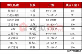 徐汇长桥两新盘正面刚，汇成南街里PK梧桐公馆，你Pick谁？图片