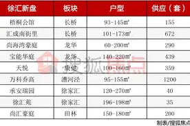 徐汇长桥两新盘正面刚，汇成南街里PK梧桐公馆，你Pick谁？图片