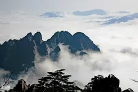 魂血古戒图片