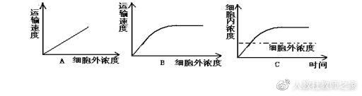 苏教版高中生物必修第一册《组成细胞的元素》教案课件视频