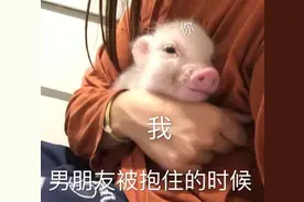 表情包：宝你怎么不理我，是群发消息没有选上我吗？图片