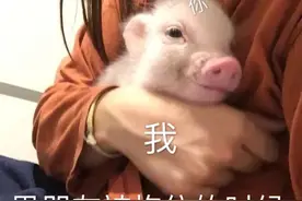 表情包：宝你怎么不理我，是群发消息没有选上我吗？图片