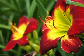 船检小安小课堂｜船上的污水是如何处理的？图片