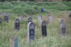 城中村面临拆迁，大妈却只想做农民，坟堆里独自耕种图片