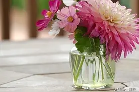 【阿速有妙招】家中花瓶里插的鲜花，怎样能开的更久？图片