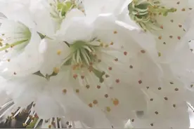 错过从来不是过错，是成全图片