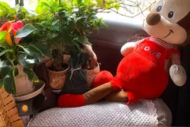 如果跑滴滴有段位的话，这个滴滴司机一定是王者，网友：求偶遇图片