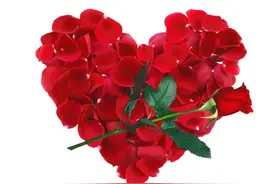 想你，好想你，今生无缘相守，你却成了我的执迷不悟图片