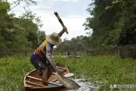 在亚马逊河内横行无忌，拿食人鱼当食物，还是不敌人类的“闷棍”图片