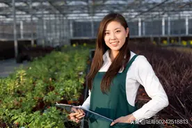 福建一农村的一个男子到越南打工后，婚礼4万，抱得美人归图片