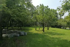 中国本土两大文化儒家与道家的区别图片