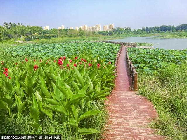 免费还不用预约！这个公园人少景美，还可以骑车~