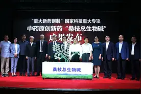 10年来首个获批的糖尿病创新中药上市，获多国专利图片