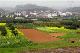 村集体资产租赁合同无效造成的损失应当由谁买单？图片