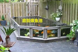 院子"种菜化"该去除了，这样设计更加高档，有石有水很有意境图片