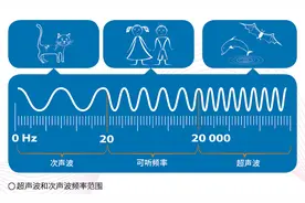嘘，除了留声机里的痕迹，声音还有其他秘密……图片