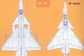 有多少相似之处？中国歼-10A战斗机和以色列狮式战斗机对比图片