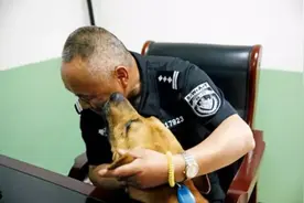 白雁：“它躲起来等死，不想让你心疼。”他为26只警犬建养老院图片