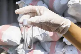 黑寡妇究竟多毒？蛇的20倍毒，让277条蛇丧命，为何蛇会是输家？图片