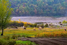 还在手动操作地图？高德地图你好小德语音助手来袭图片