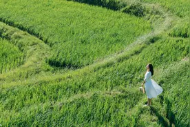 贵阳花溪区6个宝藏旅行地，平均温度23℃，夏季避暑好去处图片
