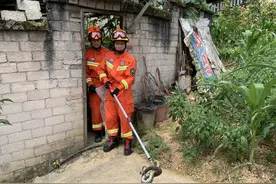 菜花蛇无毒，凭啥被称为“百蛇之王”？其它毒蛇反而还害怕它？图片