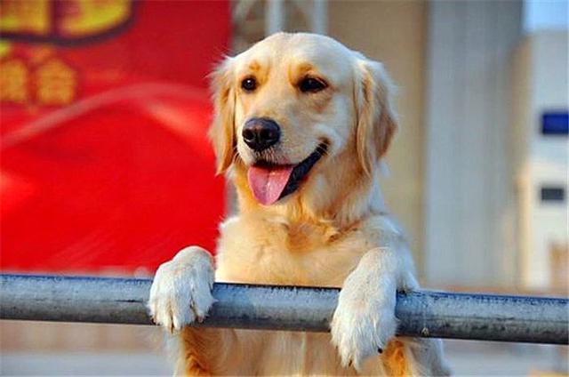 ҥëġůС𣿲ֻǶѺ