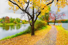秋深深，雨霖霖，暮秋里的思念始终裹着温馨的味道图片