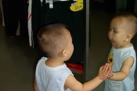 “暴躁宝宝”一夜走红，和镜子里的自己干架，网友：实力难分上下图片