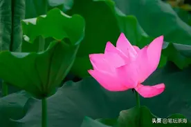 当你点开一个人的微信，发现是一道横杠时，你会怎么做图片