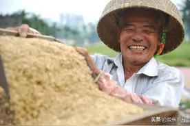 农村土地统一耕种好不好？小农户怎么办？说说其中的利弊图片