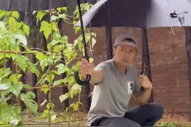 谢霆锋暴雨中给菜打伞，眉头深锁操碎心，网友自侃“人不如菜”图片