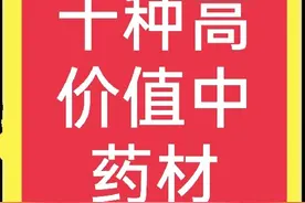十种农村常见中药材，有的价值过万元一斤，遇到别错过图片