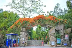 深圳平湖生态园图片