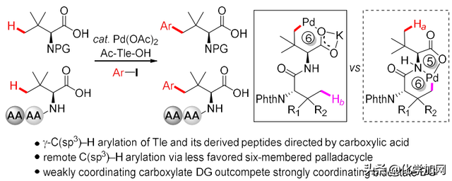 浙大史炳锋课题组Chem. Sci.：合成含大体积侧链的氨基酸和多肽