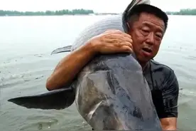 国内4位钓鱼高手，前3位粉丝百万，最后一位实力也不容小觑图片