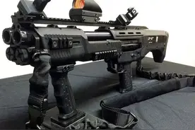 霰弹枪：一夫当关万夫莫开的“鸟枪”图片