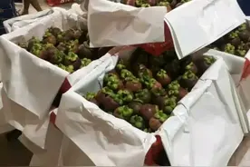 往年高攀不起，如今价格跌破10元，吃货开始疯抢，今年咋了？图片