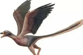 5种曾遍布中国的史前生物，第3种至今仍被目击发现到图片