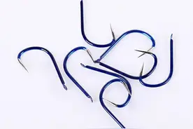 鱼钩的轻重，对鱼吸钩饵，中鱼有多大影响，怎样选择更好？图片