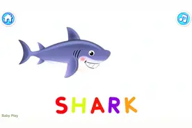 幼儿益智启蒙：一起学习鲨鱼和蜥蜴的英文名称视频封面